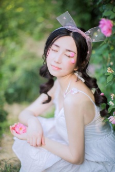 王者大师兄动漫免费观看